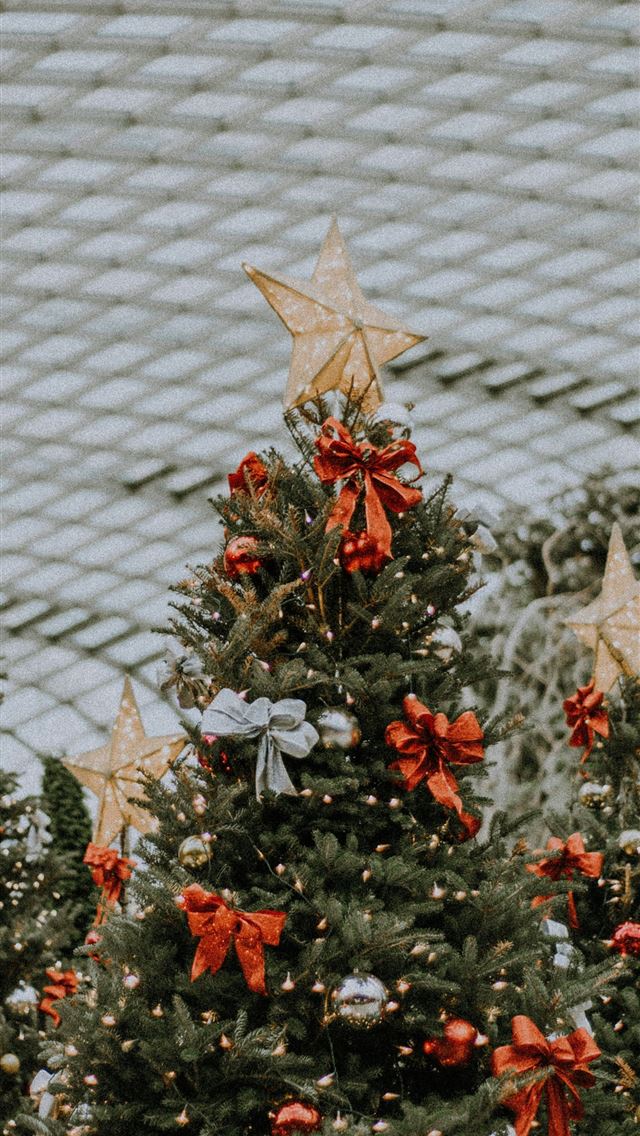 1290x2796 three green Christmas tree during daytime - grey iPhone Wallpaper