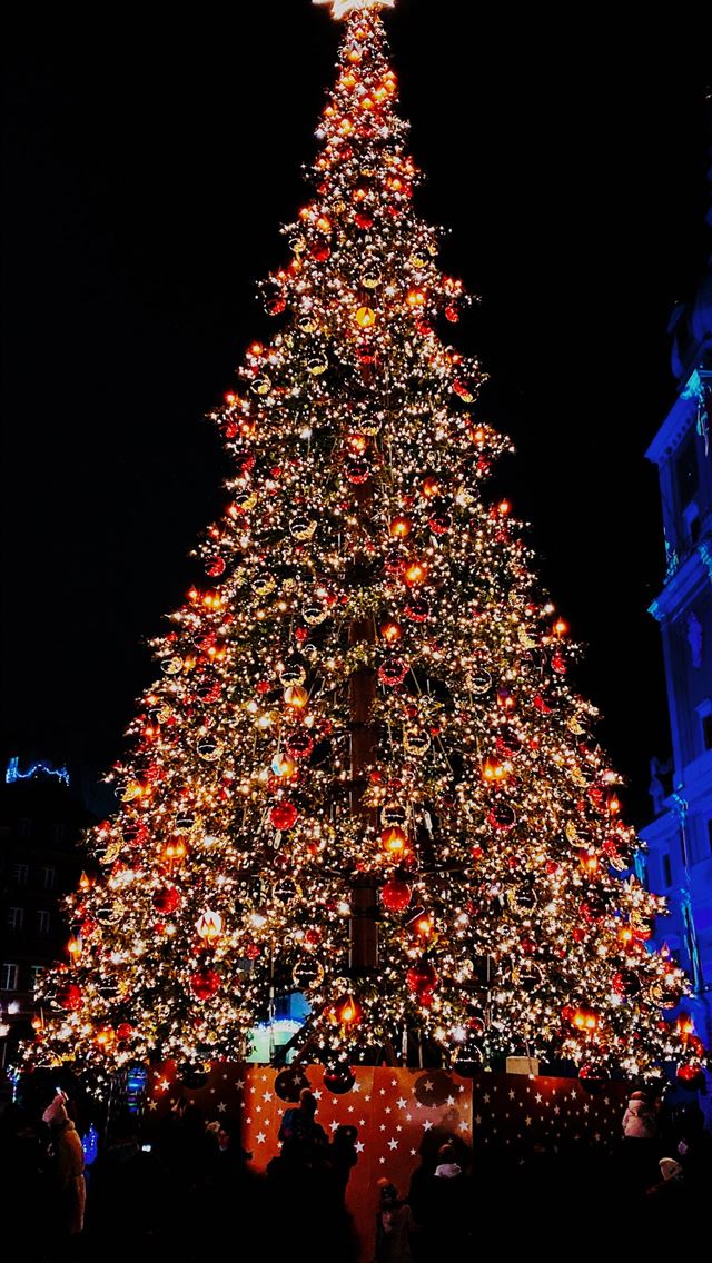 1290x2796 people walking on street near christmas tree with ... - christmas iPhone Wallpaper
