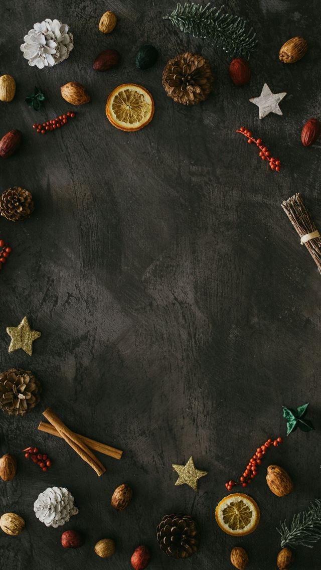 1290x2796 flatlay photo of dried plants and seeds - grey iPhone Wallpaper