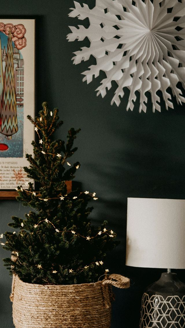 1290x2796 white round table lamp beside green plant - grey iPhone Wallpaper