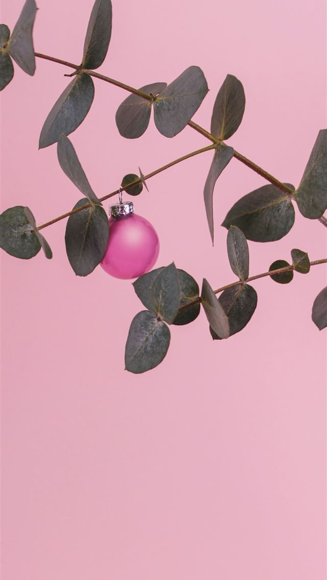 1290x2796 pink and green leaves on white background - leaf iPhone Wallpaper