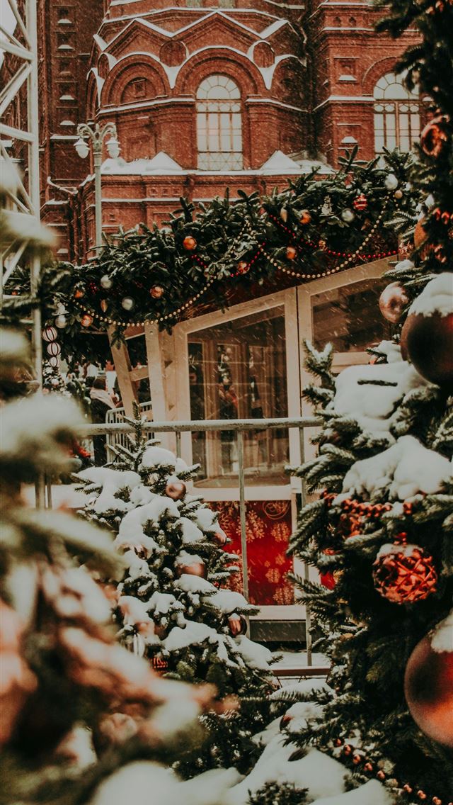 1290x2796 snow covered trees -  iphone 15 Wallpaper