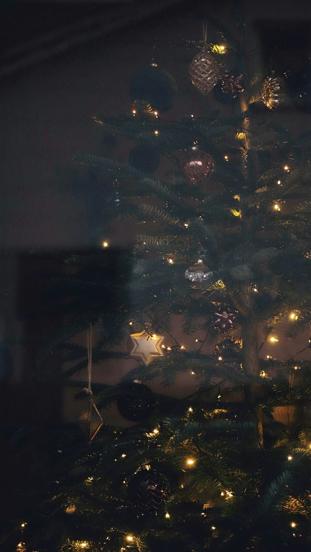1290x2796 closed door - window iPhone Wallpaper