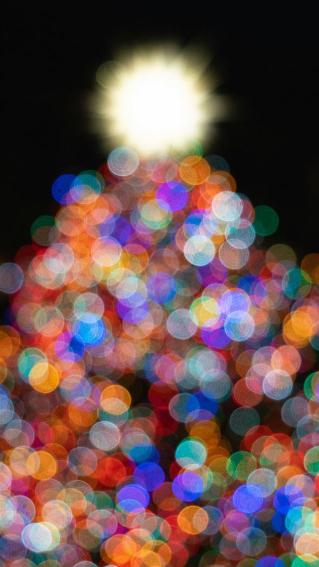 1290x2796 assorted color plastic ball lot - tree iPhone Wallpaper
