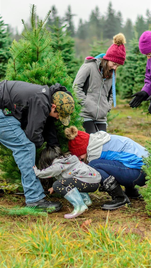 1290x2796 people planting r - family iPhone Wallpaper