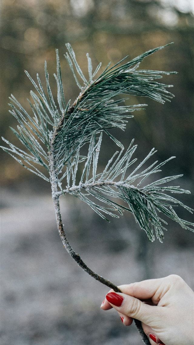 1290x2796 person holding green leaves - green iPhone Wallpaper