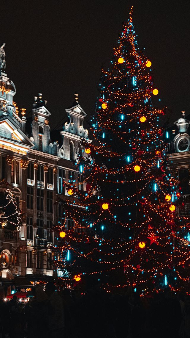 1290x2796 a lit christmas tree in front of a building -  iphone 15 Wallpaper