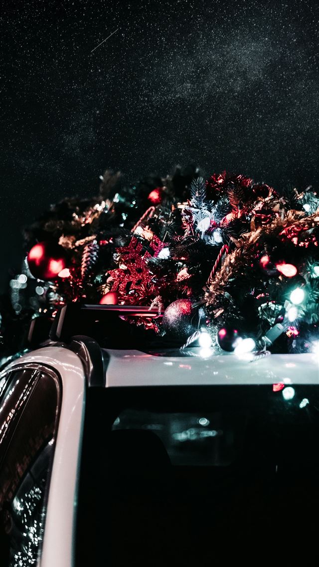 640x1136 white vehicle carrying Christmas tree -  iPhone Wallpaper
