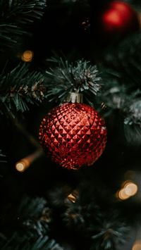 red bauble on green christmas tree wallpaper