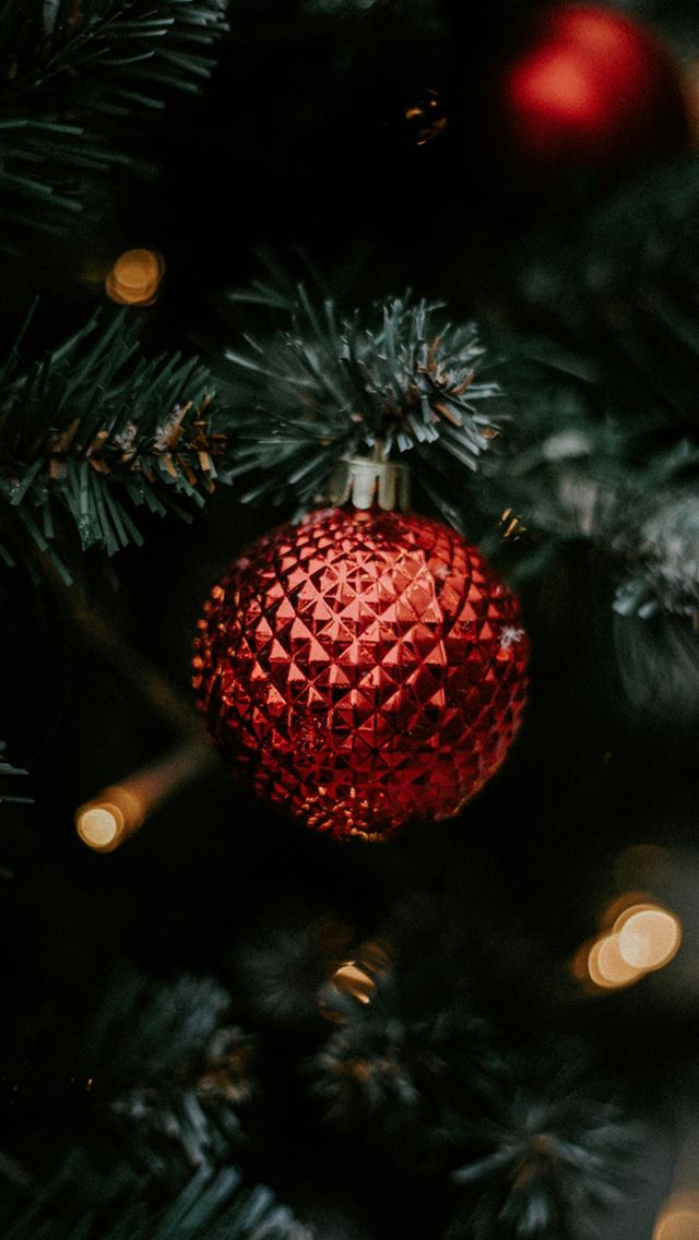 1290x2796 red bauble on green christmas tree - christmas iPhone Wallpaper