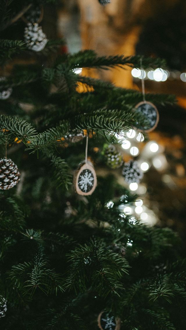 1290x2796 green Christmas tree -  iphone 15 Wallpaper