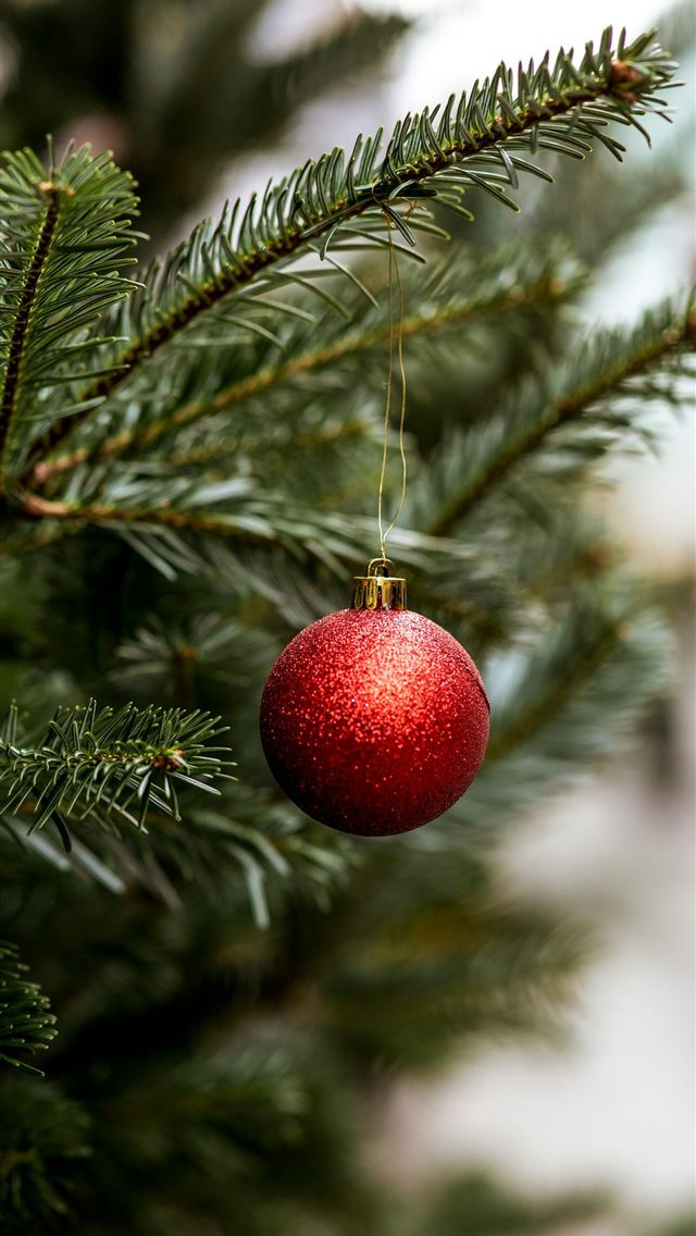 1290x2796 a close up of a fruit tree - retro iPhone Wallpaper