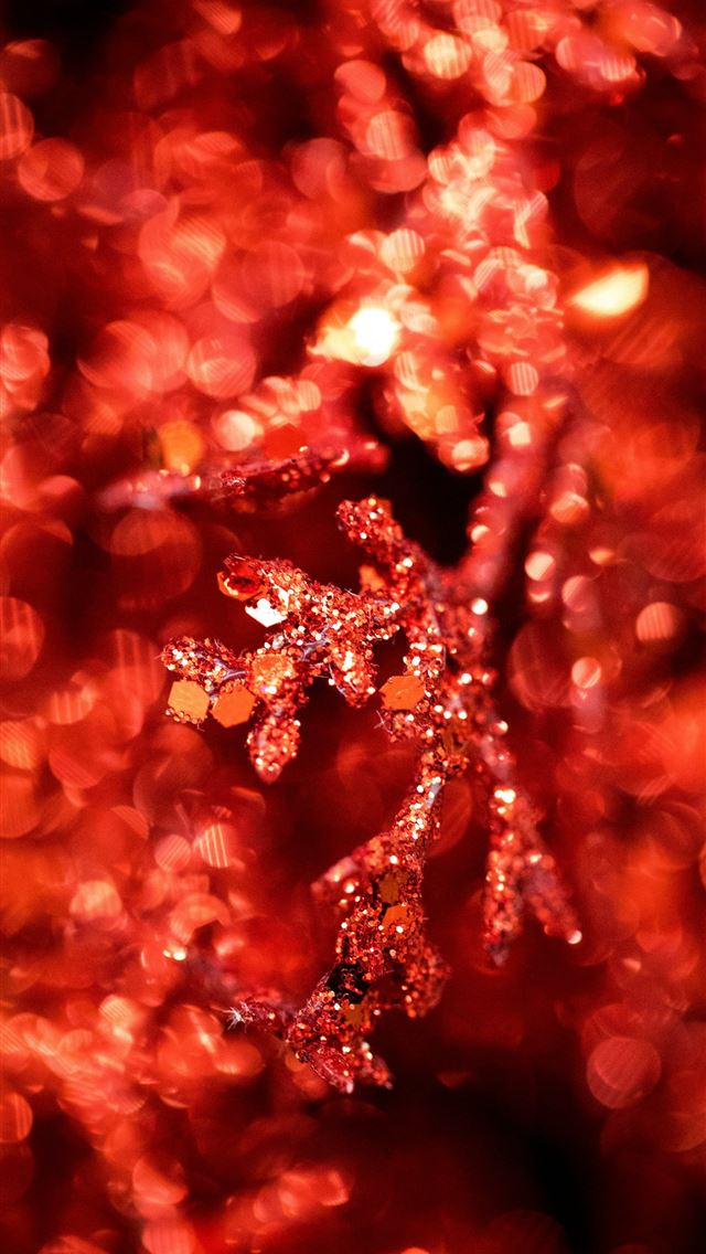 1290x2796 closeup photography of red flower - holiday iPhone Wallpaper