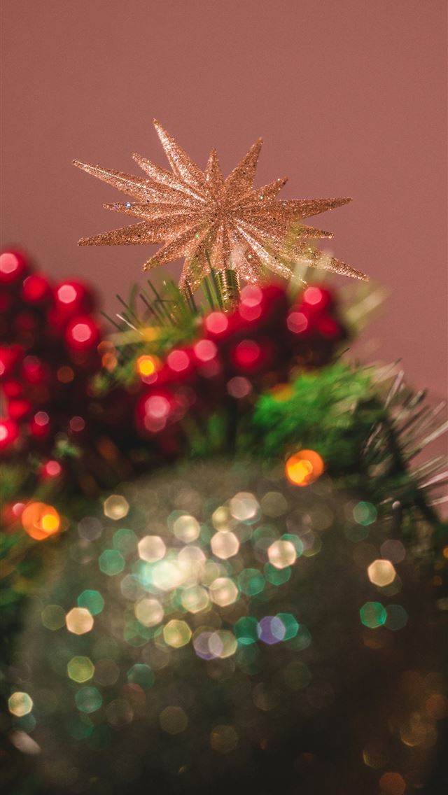 1290x2796 green and red flower decor - christmas tree iPhone Wallpaper