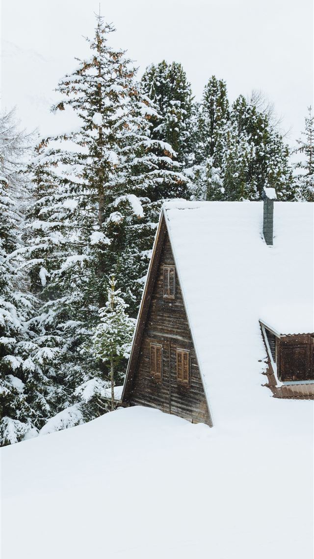 1290x2796 brown cabin covered of snow beside trees at daytim... - italy iPhone Wallpaper