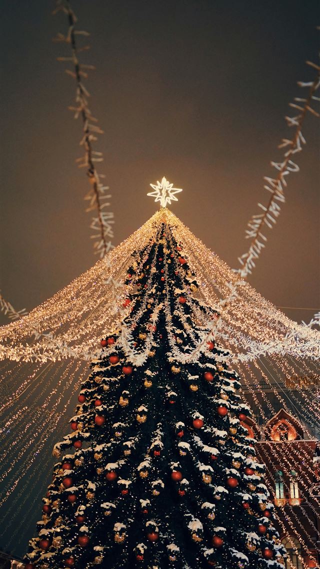 1290x2796 a christmas tree is lit up at night - tree iPhone Wallpaper