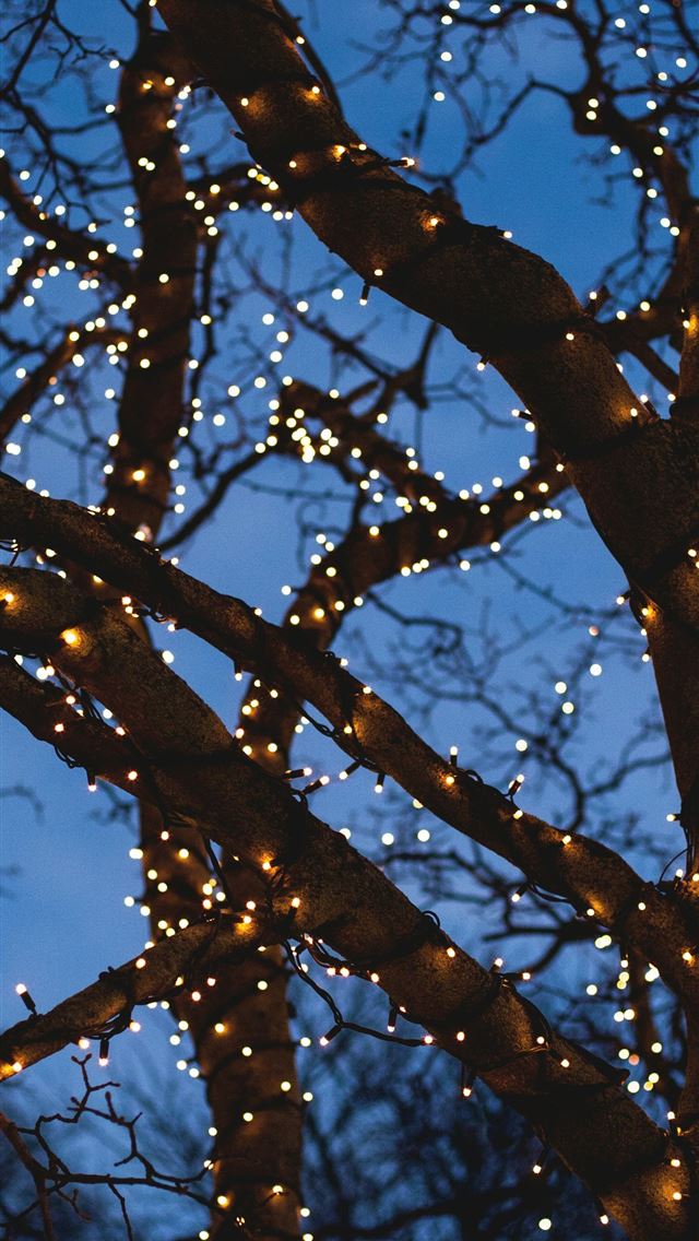 1290x2796 bare tree with yellow string lights - tree iPhone Wallpaper