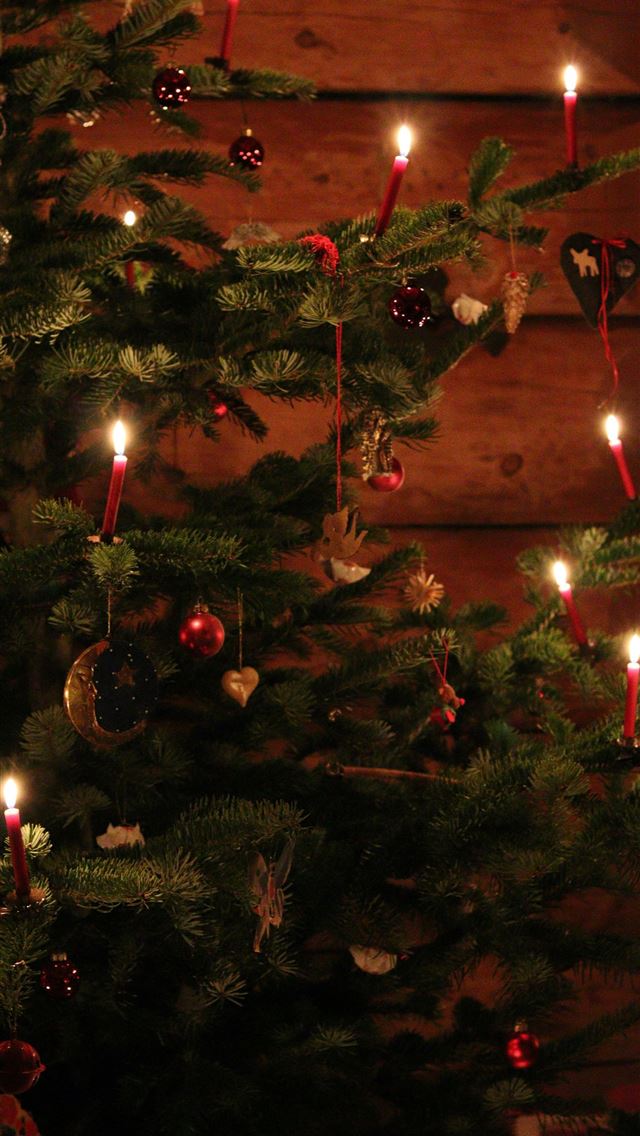1290x2796 a christmas tree with a lit candle in it - christmas iPhone Wallpaper
