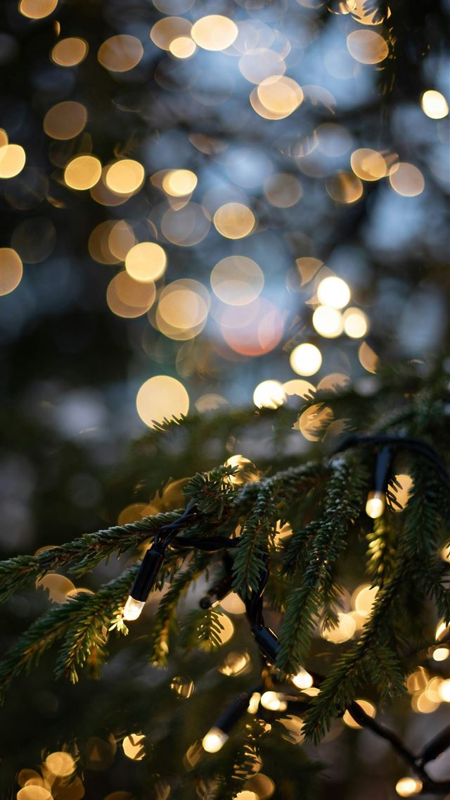 1290x2796 a close up of a pine tree with lights in the backg... - christmas tree iPhone Wallpaper