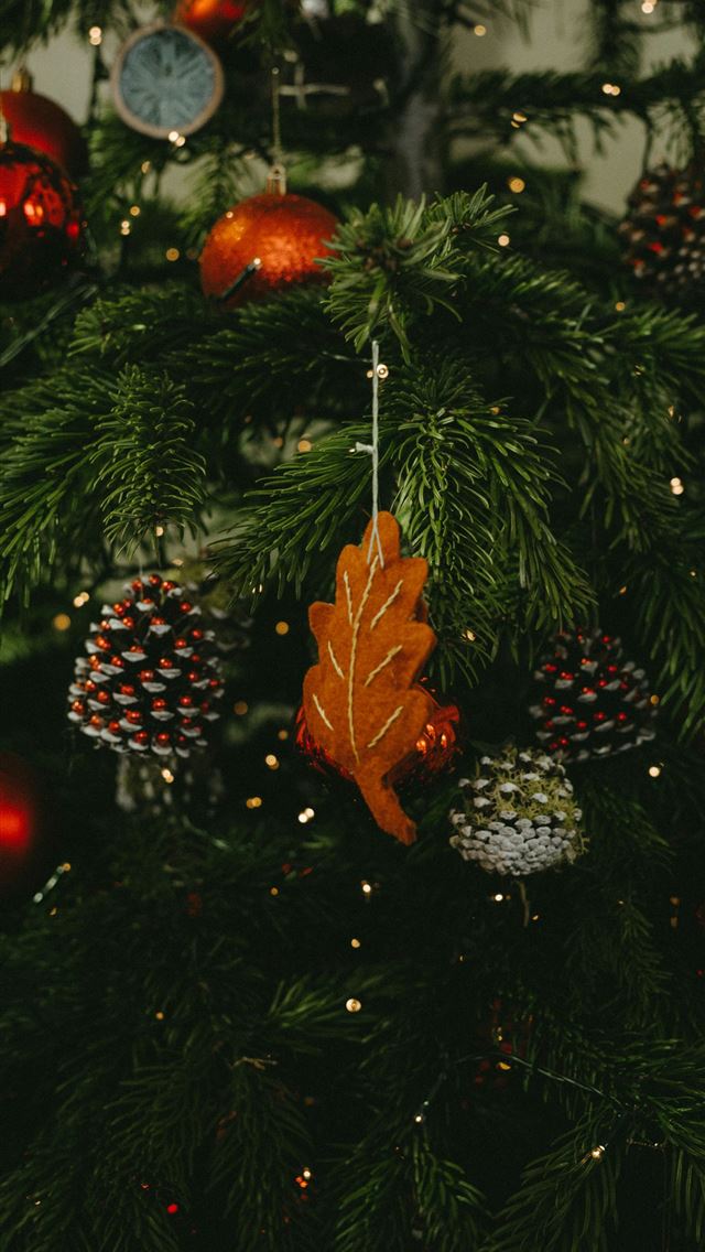 1290x2796 closeup photo of Christmas tree with baubles pine ... - christmas tree iPhone Wallpaper