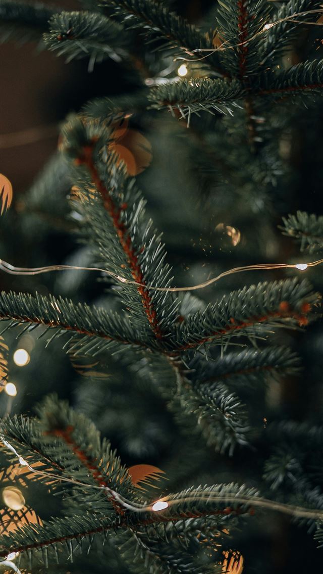 1290x2796 a close up of a christmas tree with lights - tree iPhone Wallpaper
