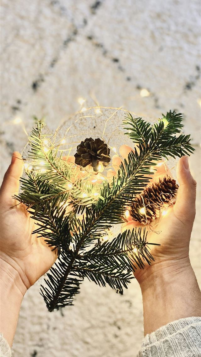 1290x2796 person holding green and white flowers -  iphone 15 Wallpaper