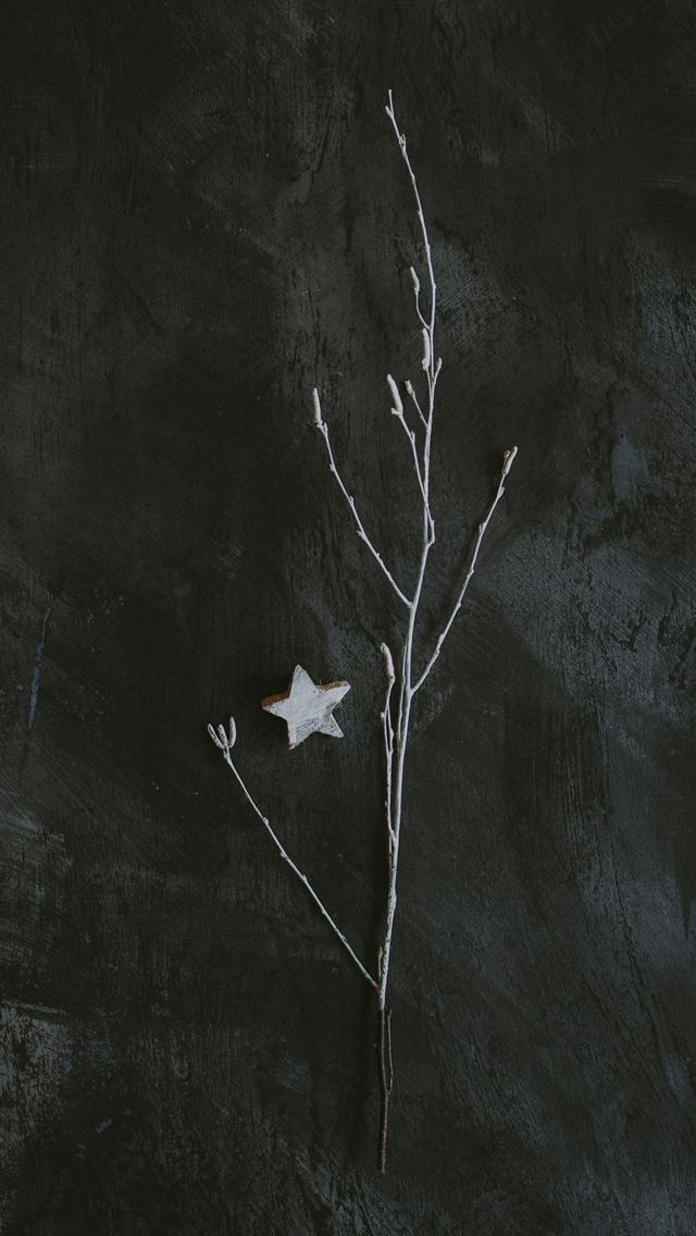 1290x2796 gray tree brunch on gray surface - grey iPhone Wallpaper