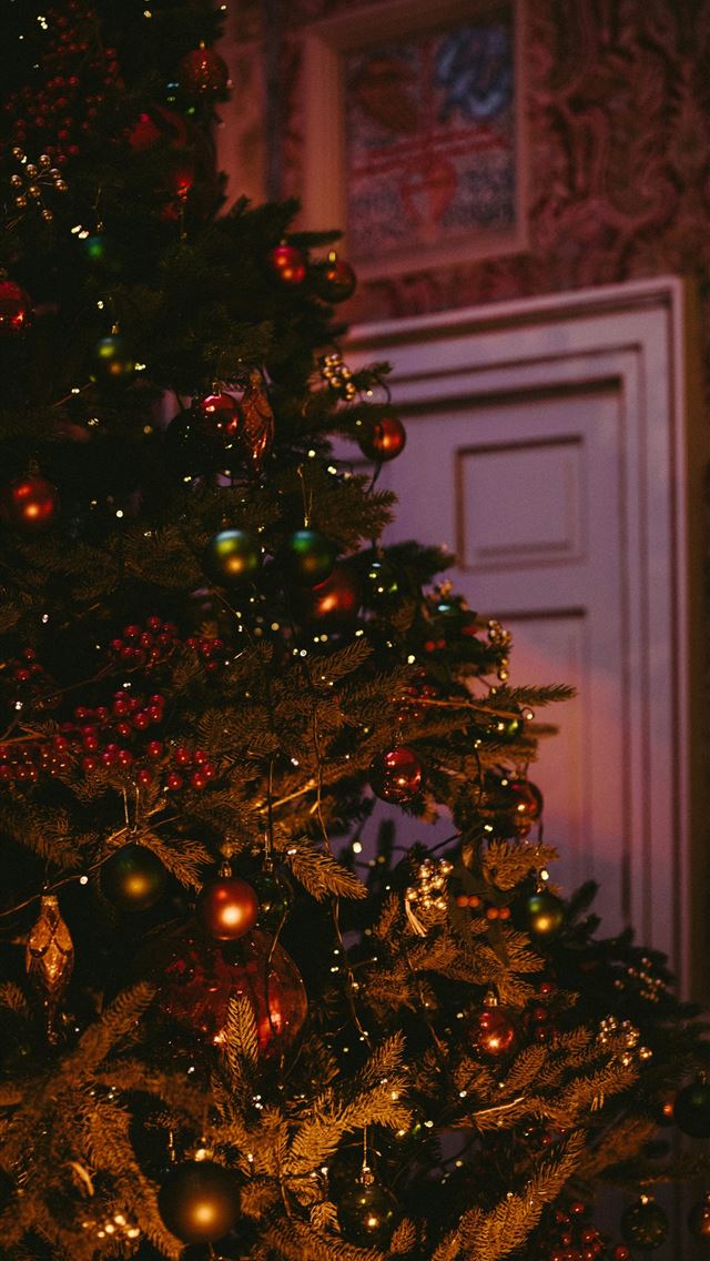 1290x2796 baubles and string lights filled Christmas tree by... - grey iPhone Wallpaper