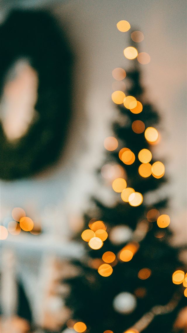 1290x2796 yellow and white string lights - tree iPhone Wallpaper