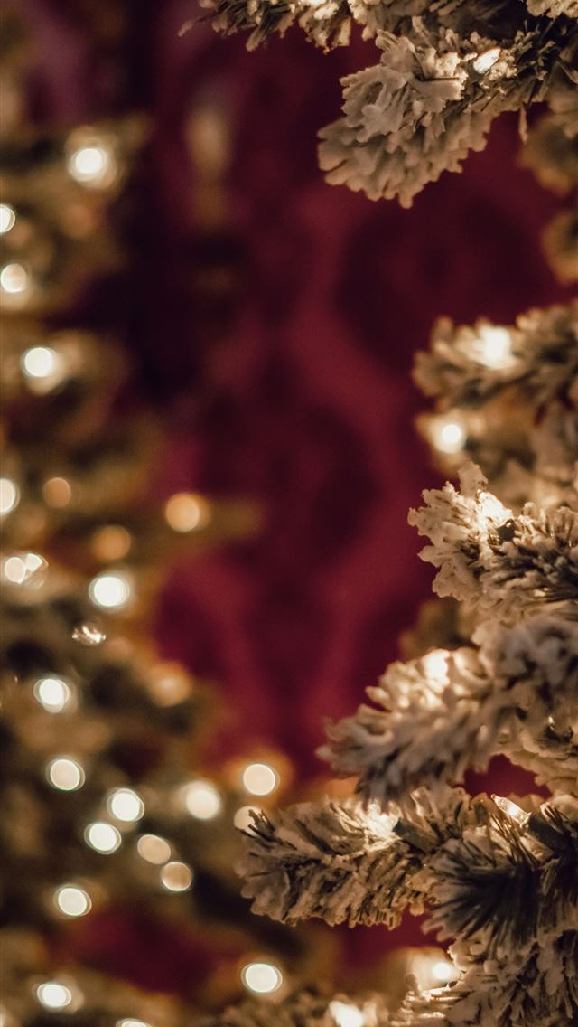 1290x2796 green pine tree - trees iPhone Wallpaper