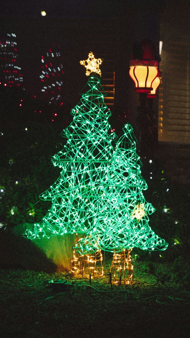 1290x2796 a lighted christmas tree in a yard at night - holiday iPhone Wallpaper