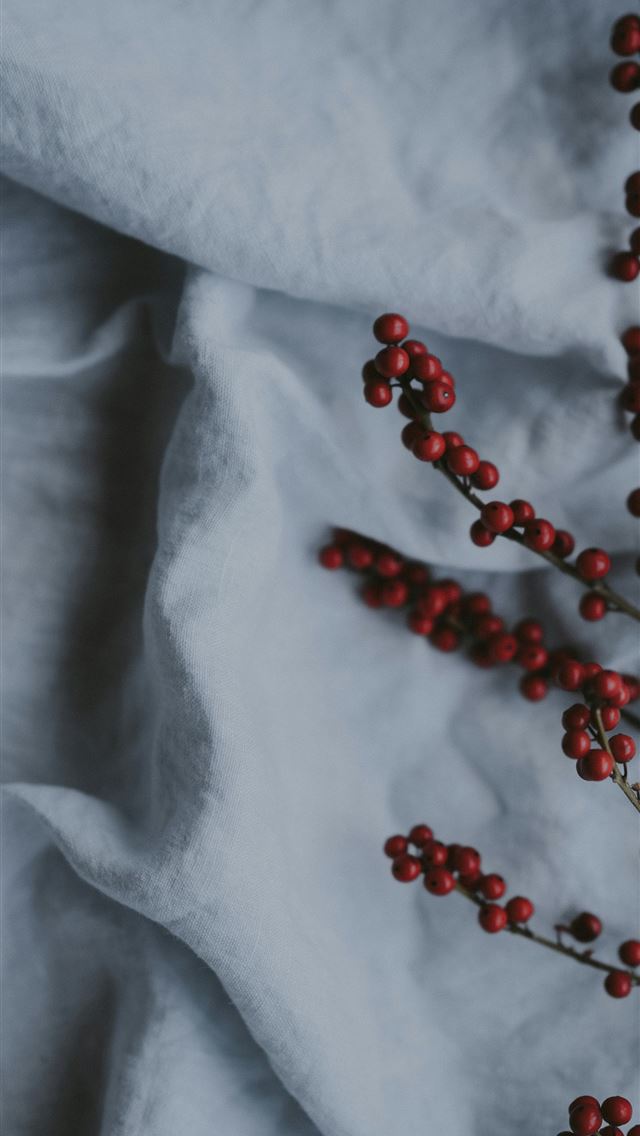 1290x2796 round red fruit - grey iPhone Wallpaper