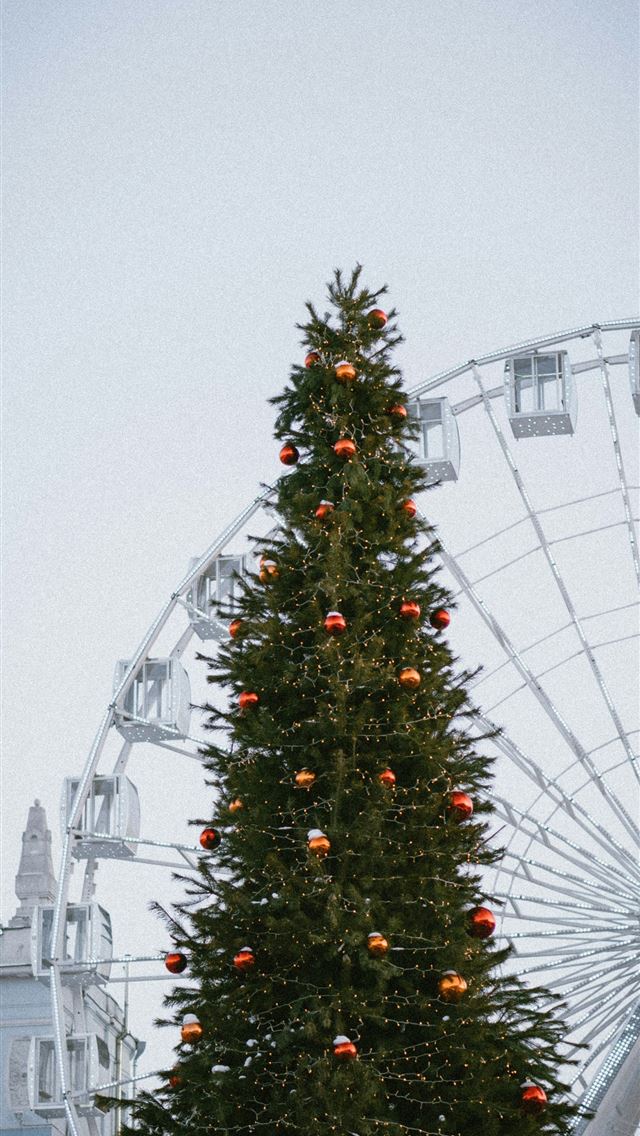 1290x2796 a large christmas tree in front of a ferris wheel - winter iPhone Wallpaper