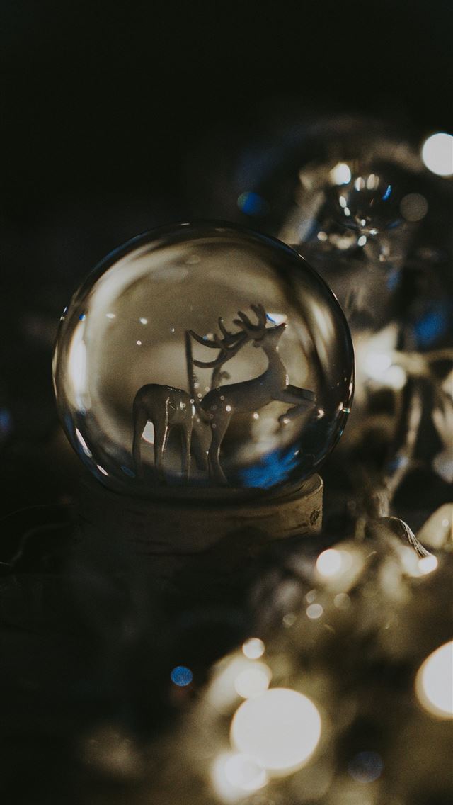 1290x2796 deer glass globe decor - grey iPhone Wallpaper