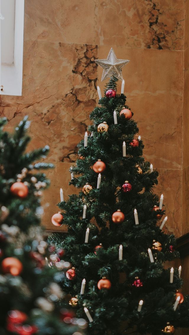 1290x2796 two green Christmas tree inside building - christmas tree iPhone Wallpaper