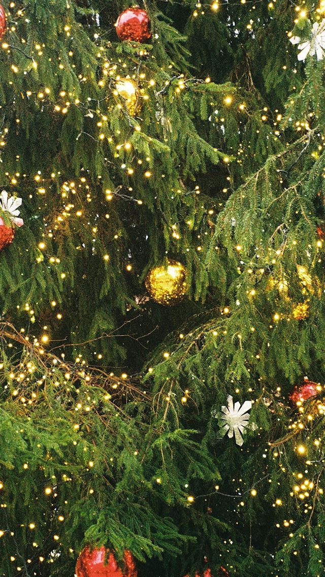 1290x2796 a close up of a christmas tree with lights - tree iPhone Wallpaper