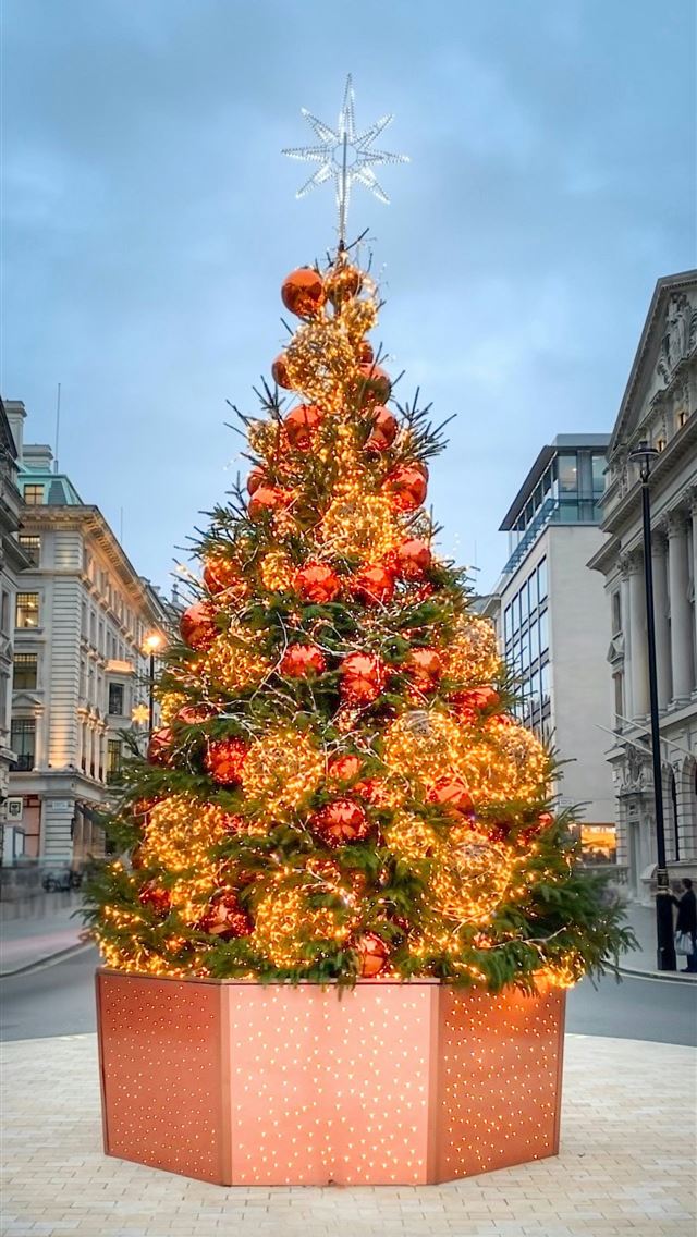 1290x2796 green and red christmas tree on gray concrete floo... - yellow iPhone Wallpaper