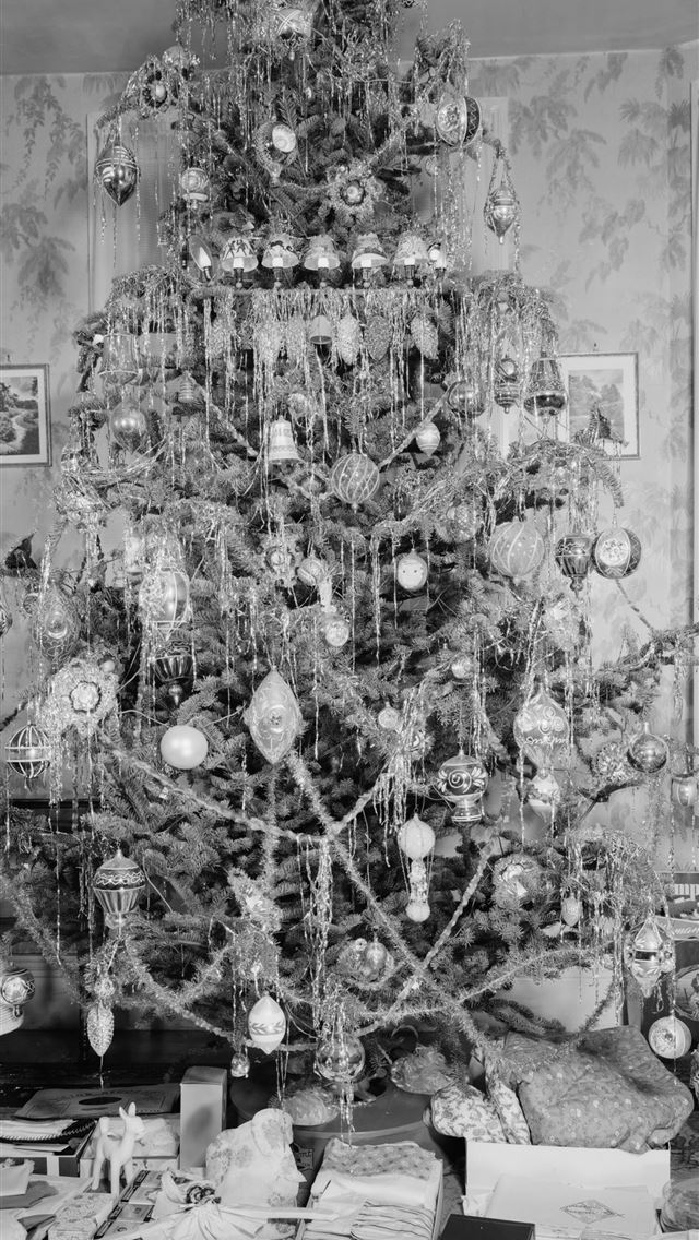 1290x2796 grayscale photo of hanging decor - grey iPhone Wallpaper