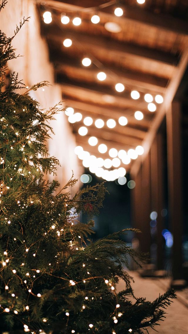 1290x2796 a lit christmas tree in front of a building - tree iPhone Wallpaper