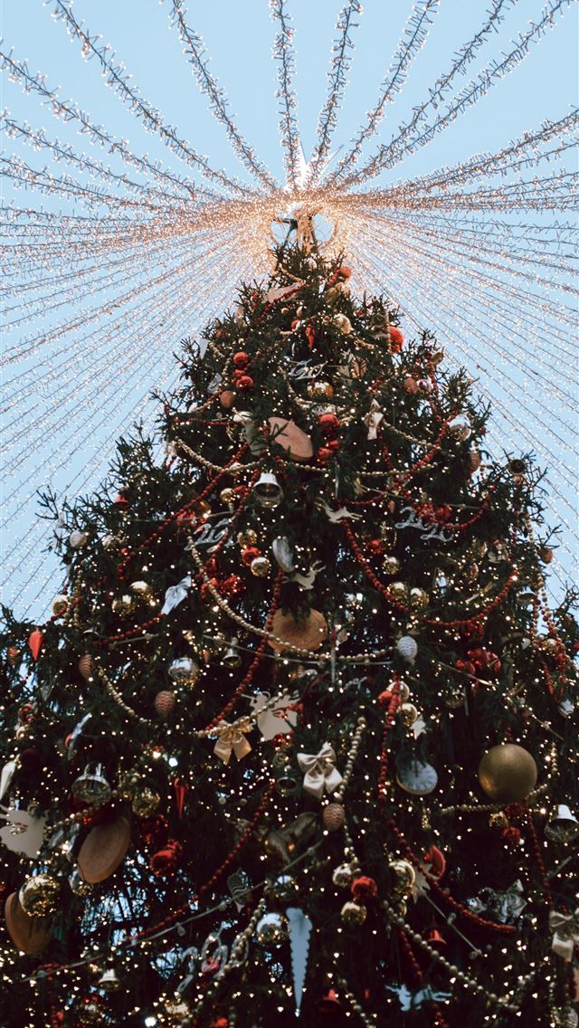 1290x2796 brown and white christmas tree - grey iPhone Wallpaper