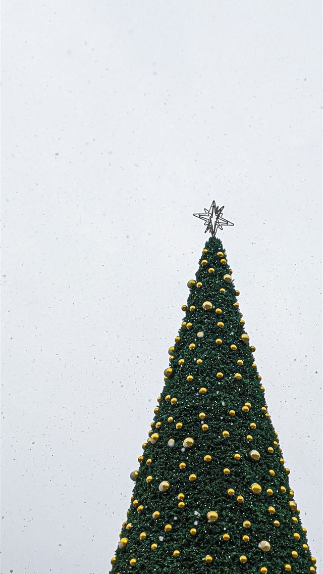 1290x2796 low angle photography of green Christmas tree with... - christmas iPhone Wallpaper