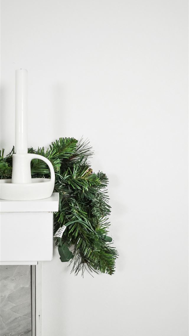 1290x2796 green plant on white ceramic pot - christmas iPhone Wallpaper
