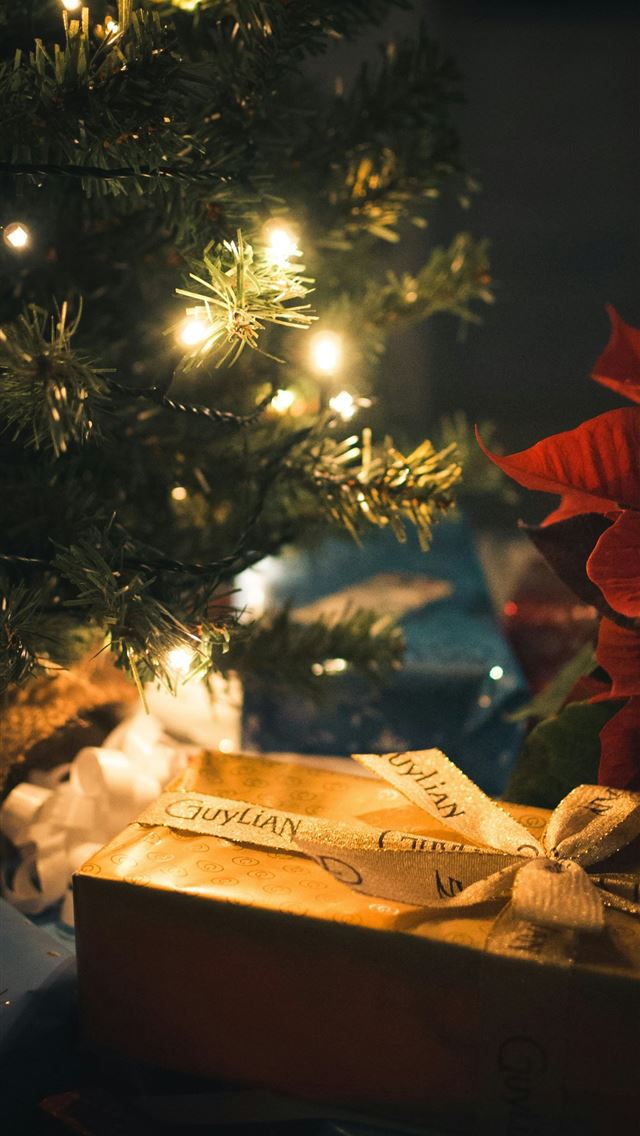 1290x2796 red rose on brown box - christmas iPhone Wallpaper