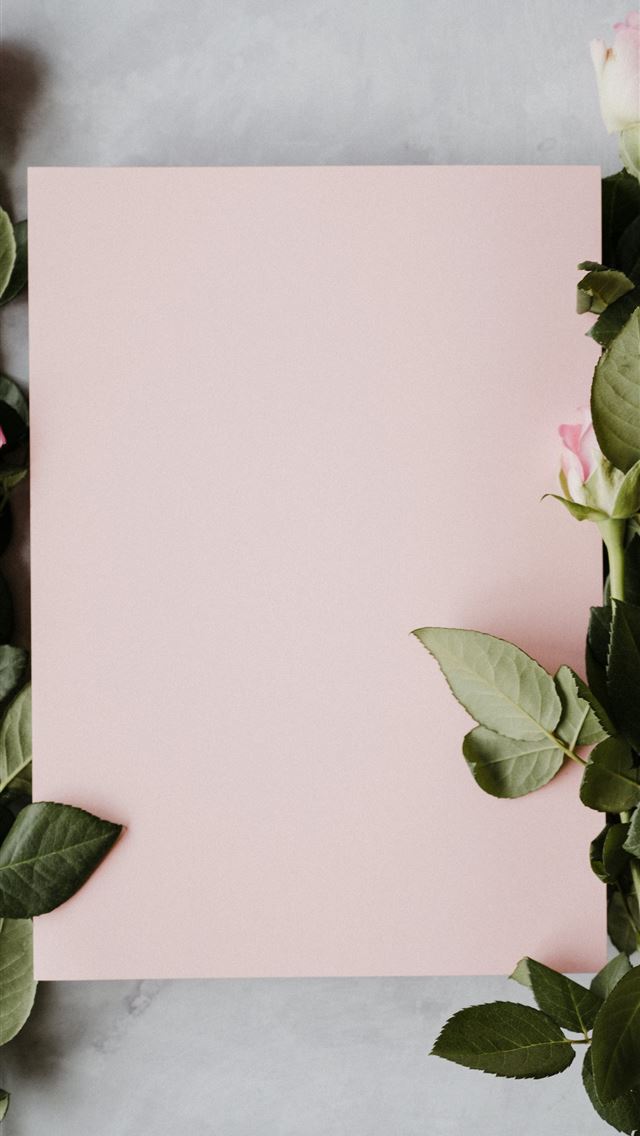 1290x2796 pink and green flower painting -  iPhone Wallpaper
