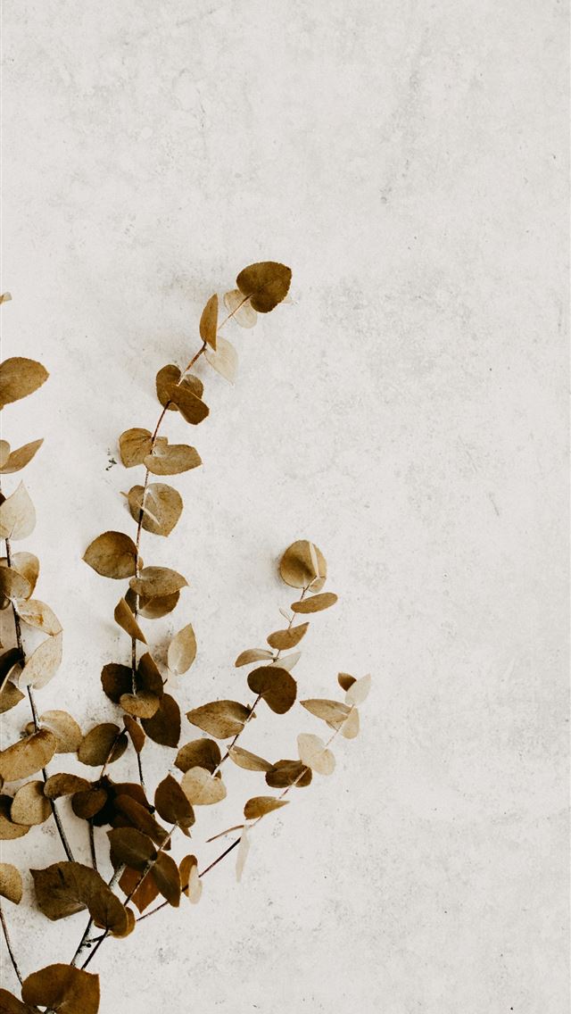 1290x2796 brown and black stones on white surface -  iPhone Wallpaper