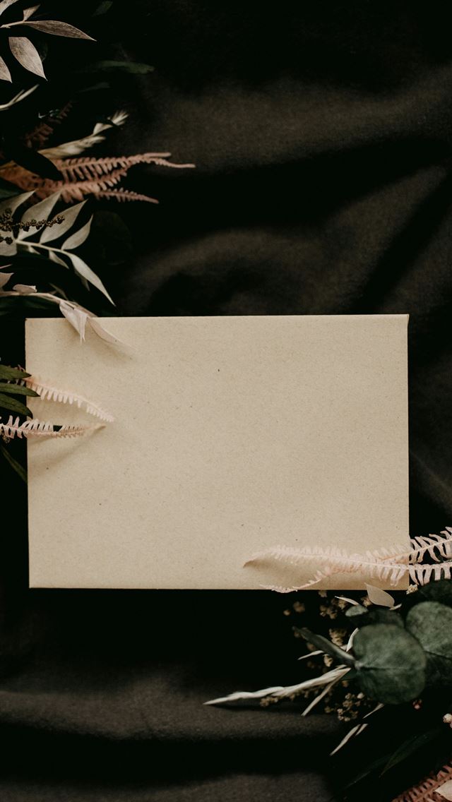 1290x2796 white paper on black and green floral textile -  iPhone Wallpaper