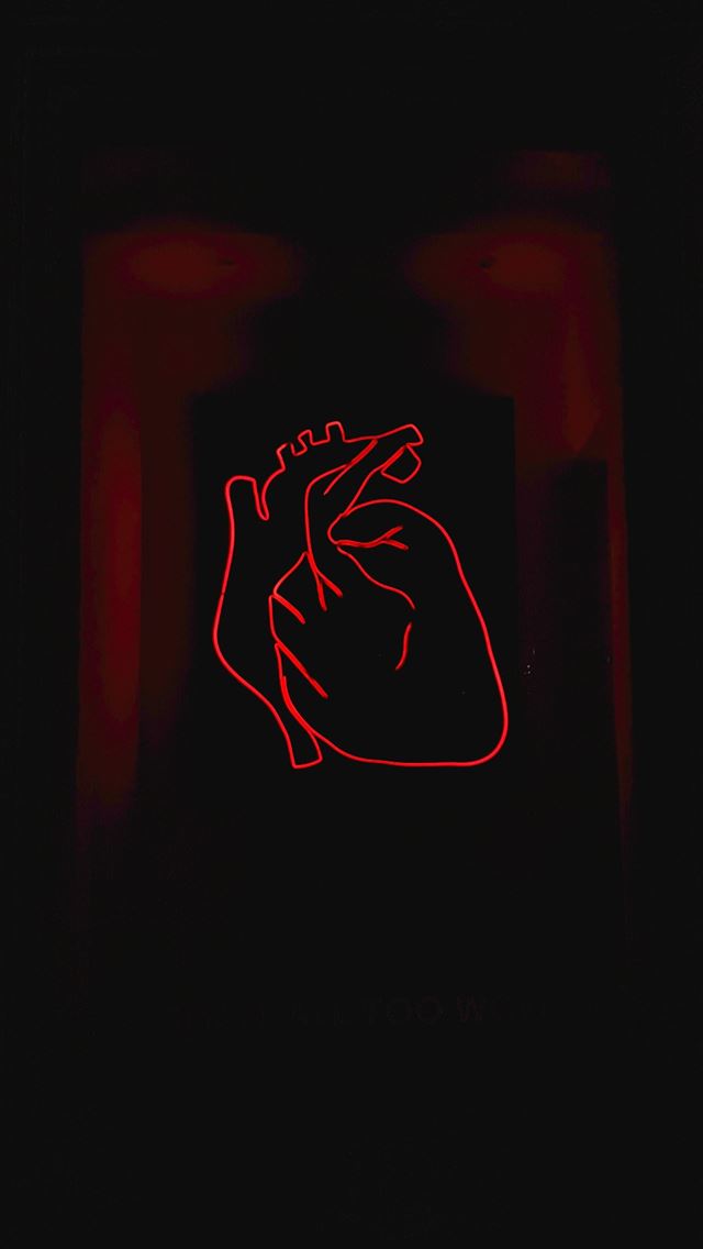 1290x2796 Anatomical Heart - valentine's day iPhone Wallpaper