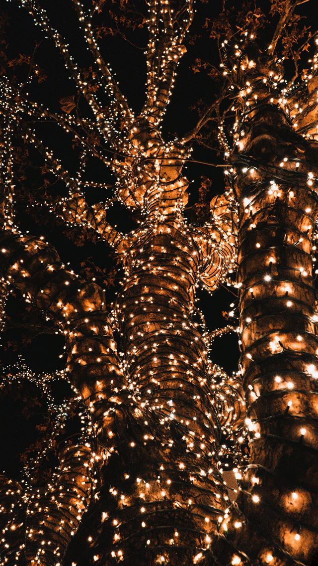 1290x2796 orange string lights -  iPhone Wallpaper