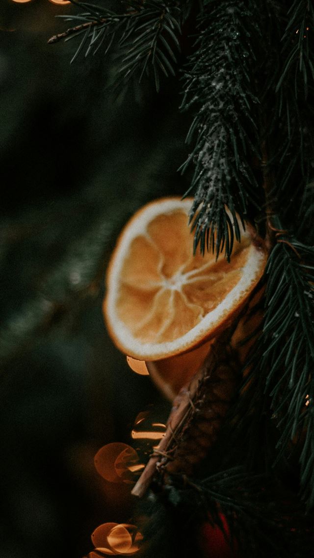 1290x2796 yellow sliced lemon on green pine tree -  iPhone Wallpaper