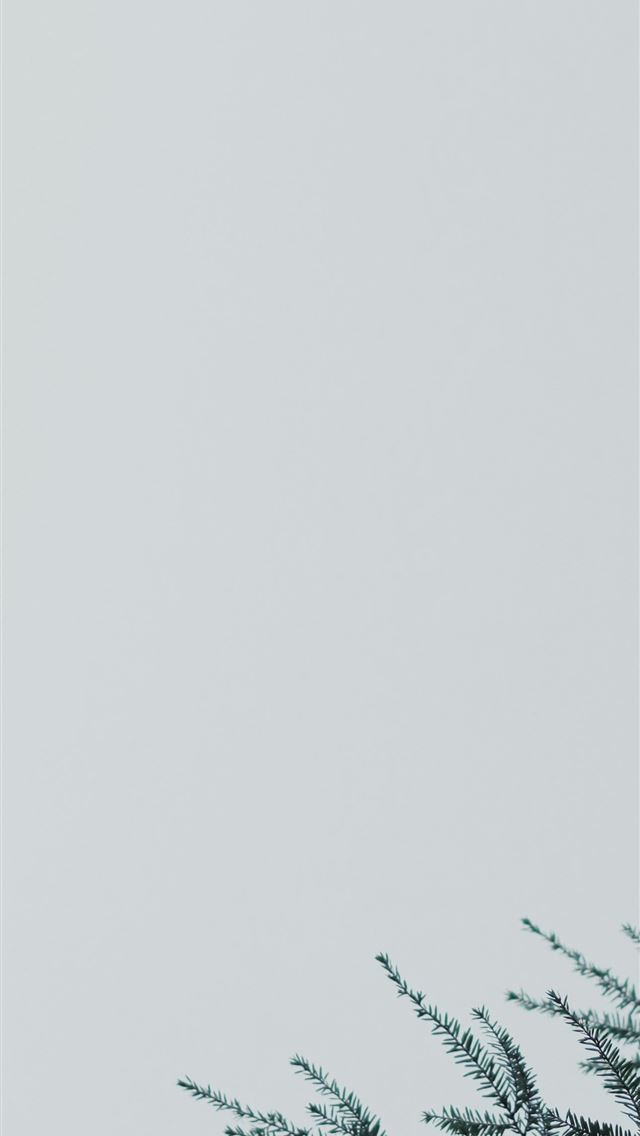 1290x2796 white printer paper with green tree -  iPhone Wallpaper